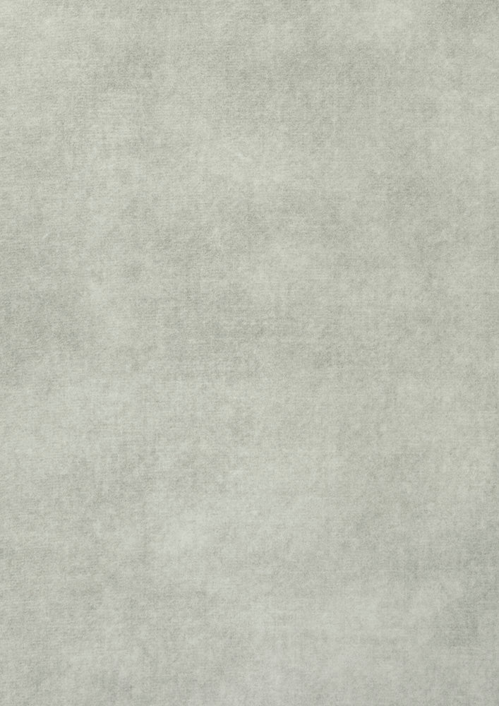 Oyster — Velvet (Group 2) fabric